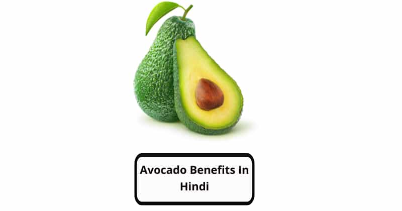 Avocado Benefits in Hindi