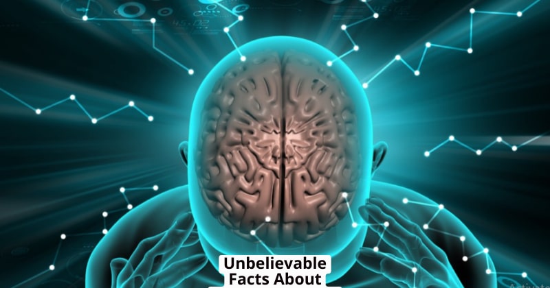Unbelievable Facts About Human Mind in Hindi